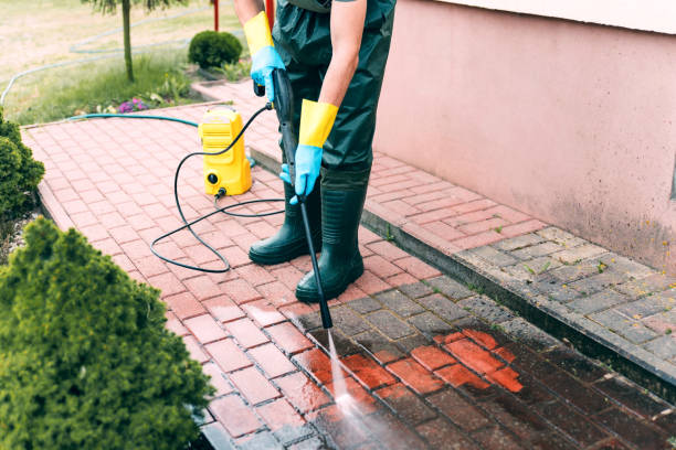 Best House Pressure Washing  in Cloverleaf, TX